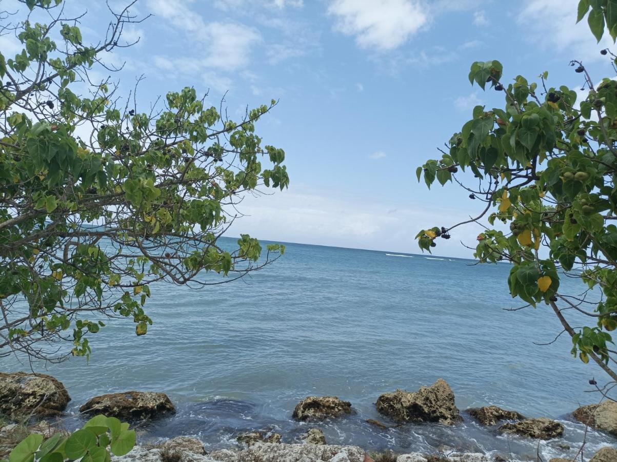 Kaz'Detente, Marie Galante, Plage Kawann Grand-Bourg Kültér fotó