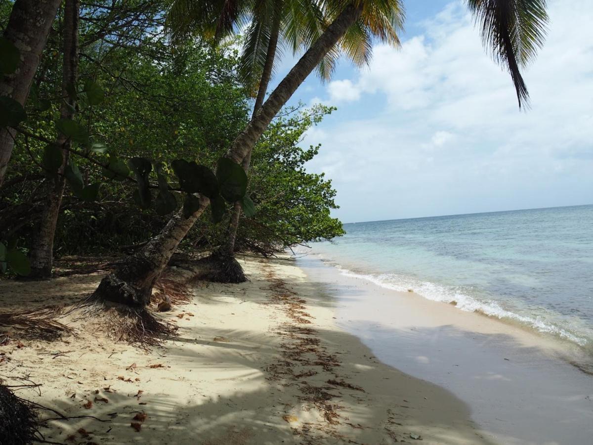 Kaz'Detente, Marie Galante, Plage Kawann Grand-Bourg Kültér fotó